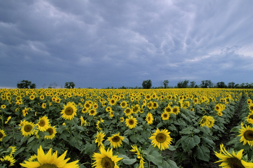 Nice news of the day – July 29,&nbsp;2018