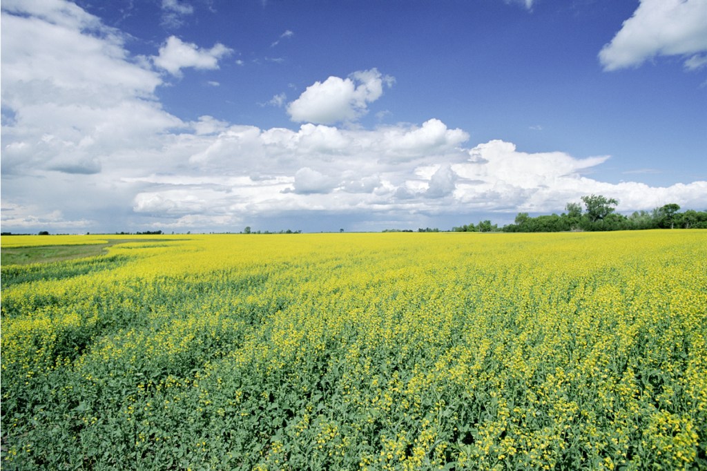 Nice news of the day – August 11,&nbsp;2018