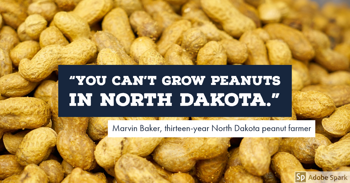 Nice news of the day – October 2, 2018