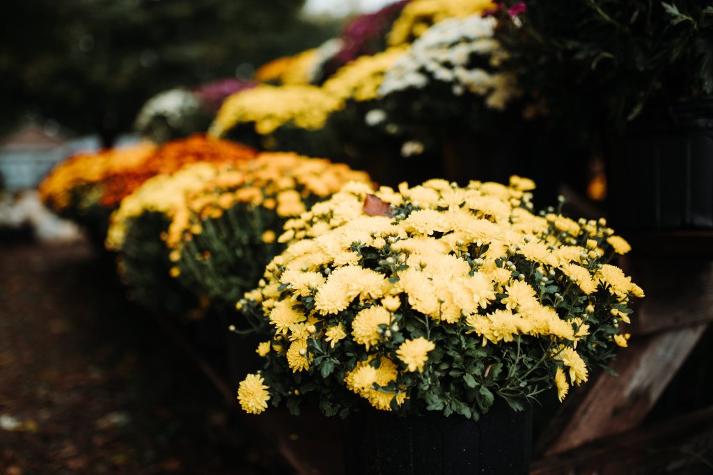 Nice news of the day – November 9,&nbsp;2018