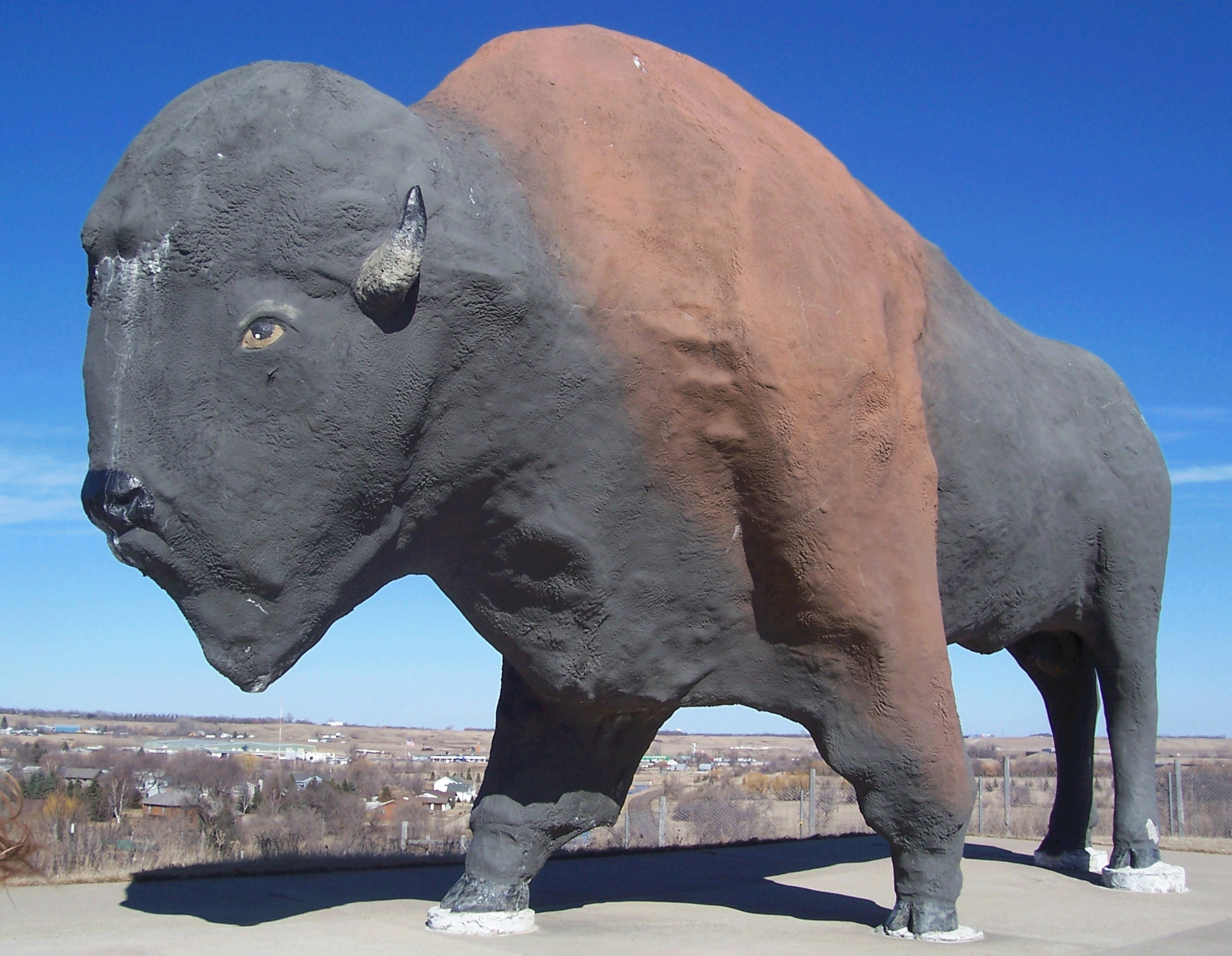 buffalo_statue_jamestown_north_dakota