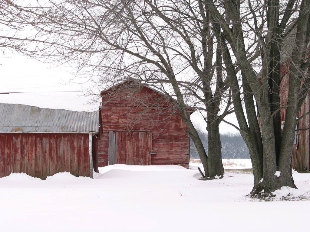 Nice news of the day – February 18,&nbsp;2019