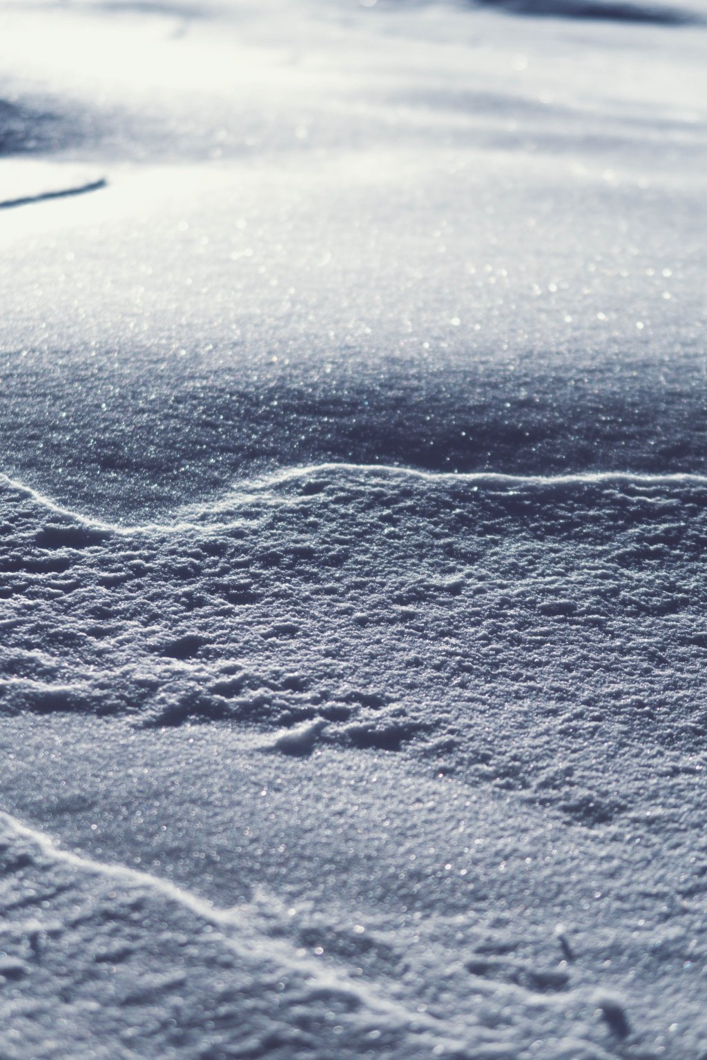 Nice news of the day – March 1, 2019