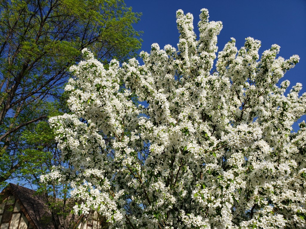 Nice news of the day – June 6, 2019