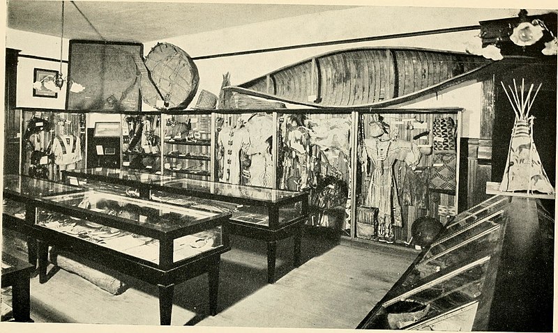 Nice news of the day – July 3, 2019