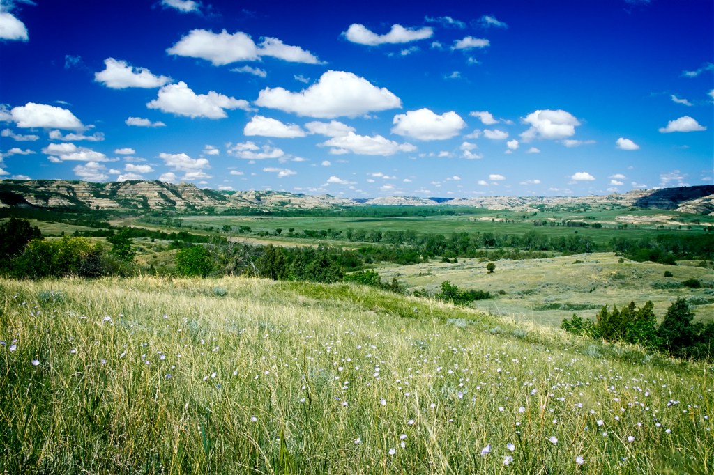 Nice news of the day – July 22,&nbsp;2019