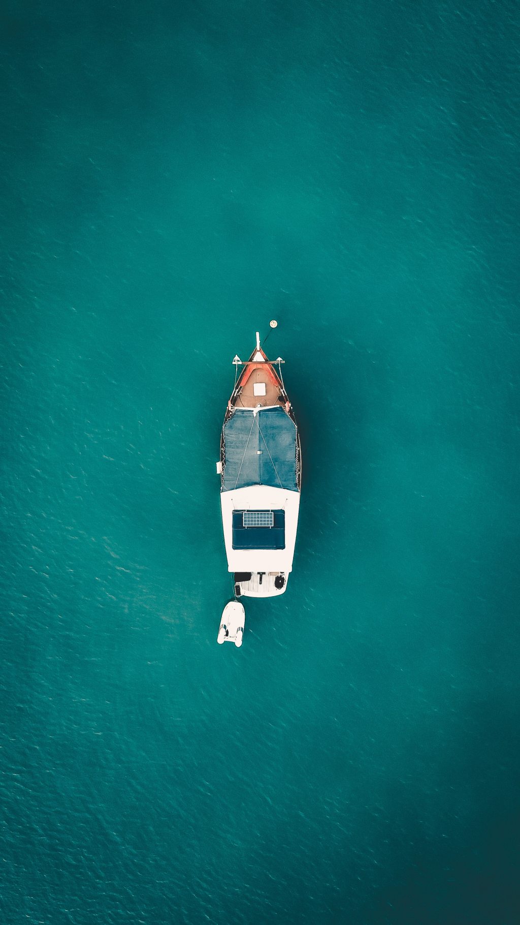 Nice news of the day – October 3,&nbsp;2019