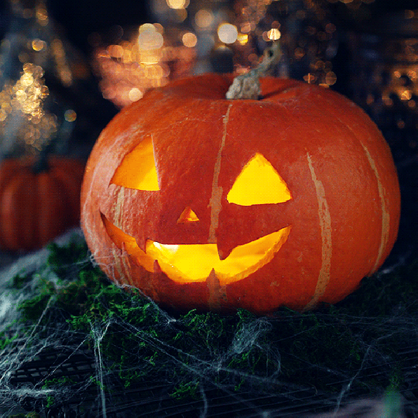 Nice news of the day – October 31,&nbsp;2019