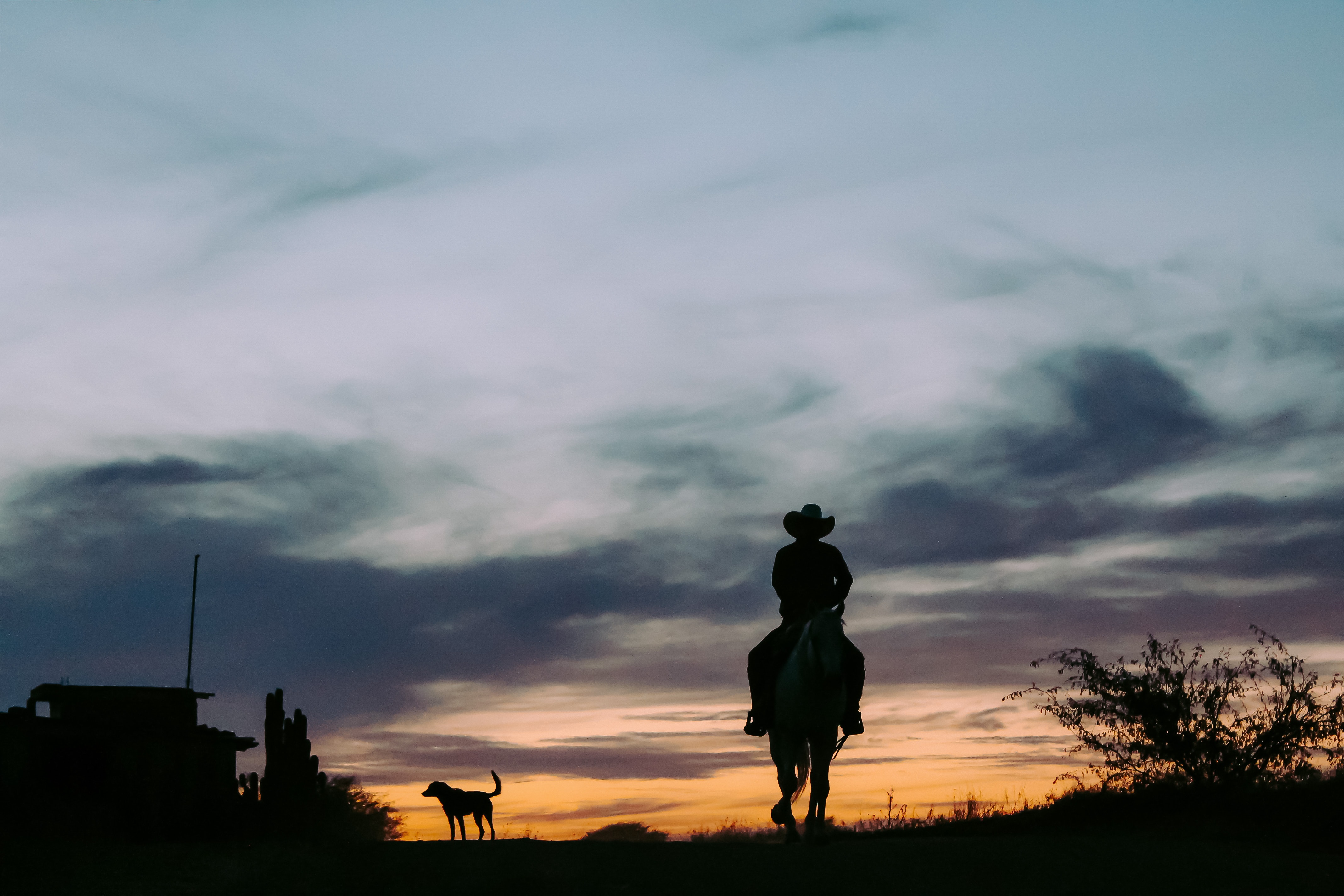 silhouette-of-person-riding-horse-2618372.jpg