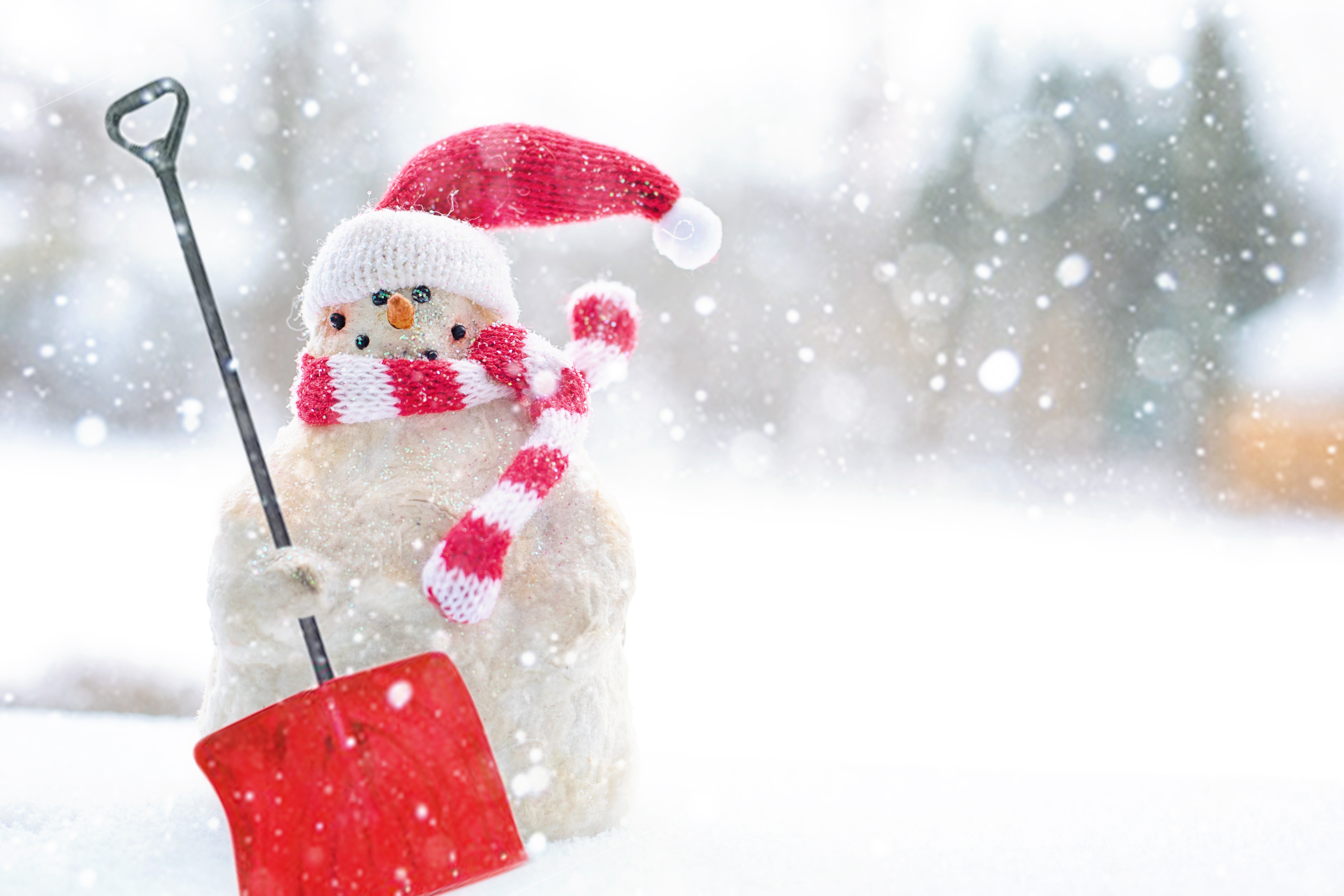 Nice news of the week – January 23, 2020