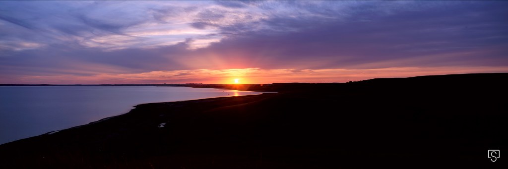 Nice news of the week – April 23,&nbsp;2020