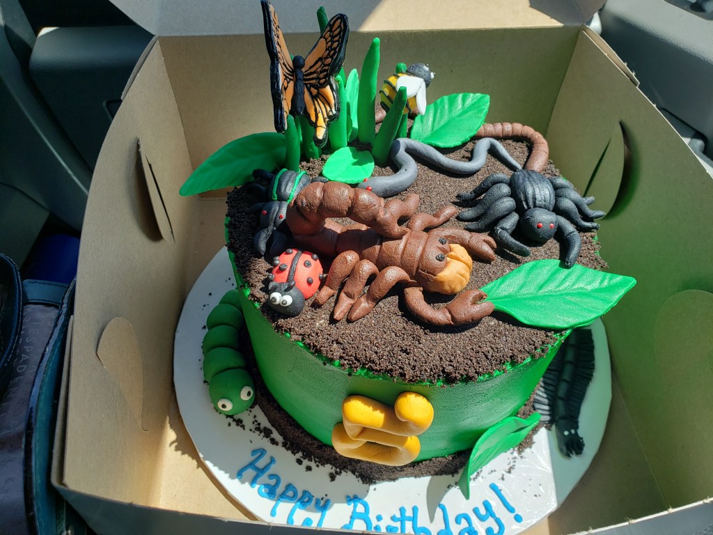 Samantha | January 6,&nbsp;2021