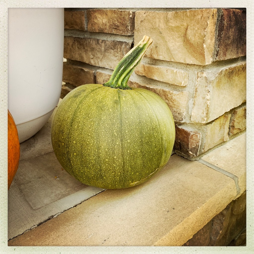 Pumpkin spice and everything nice | September 30,&nbsp;2021