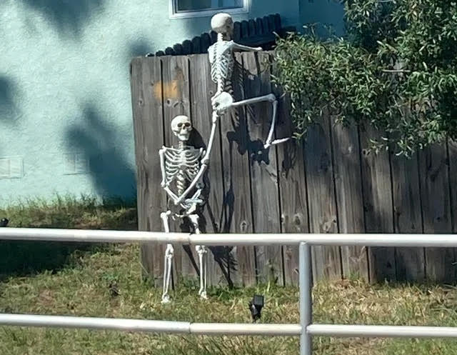 The Haunted House | October 19,&nbsp;2022