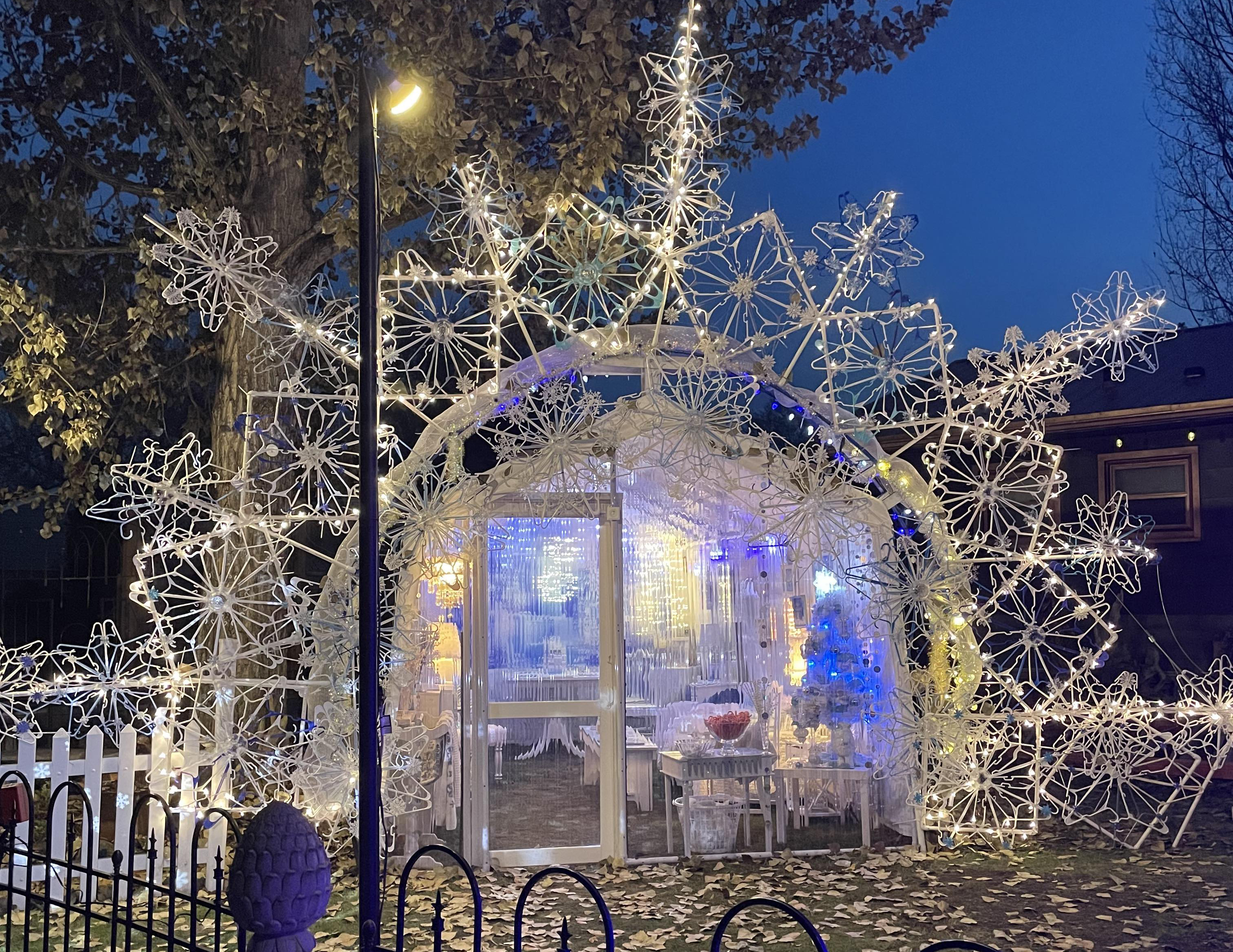 North Dakota Today | The Snowflake and Journey Home Animal Rescue