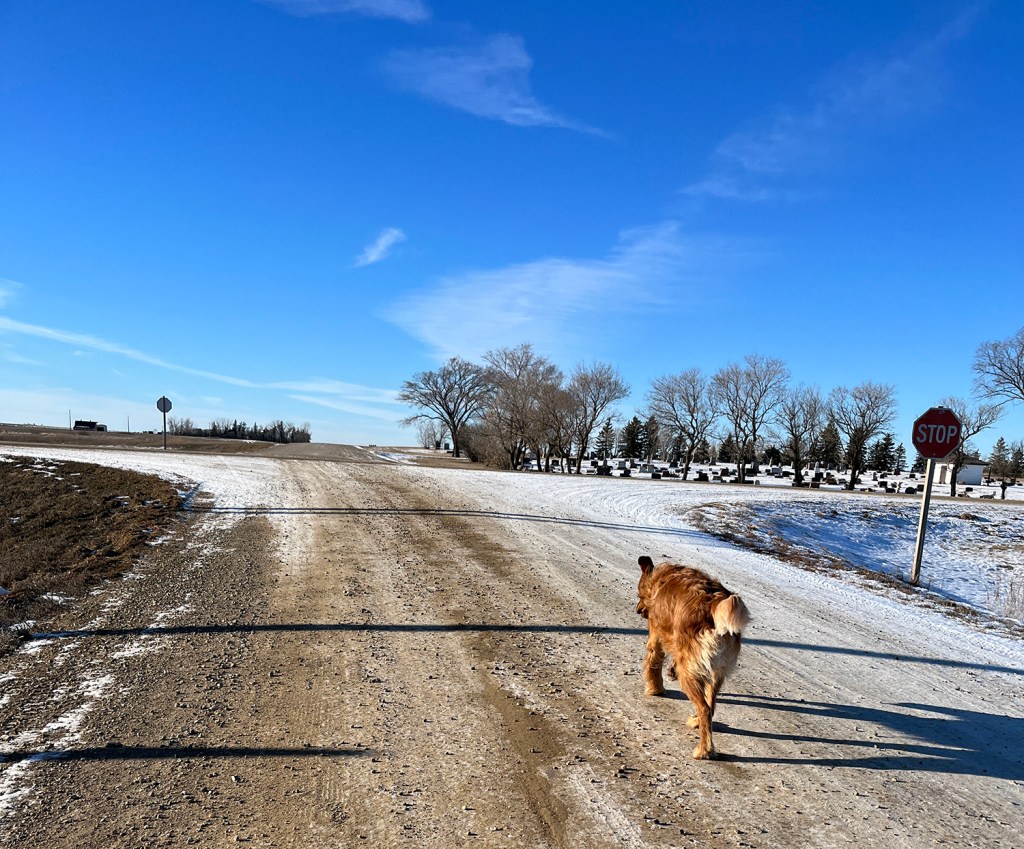 I’m good at a lot of other stuff | December 27,&nbsp;2023