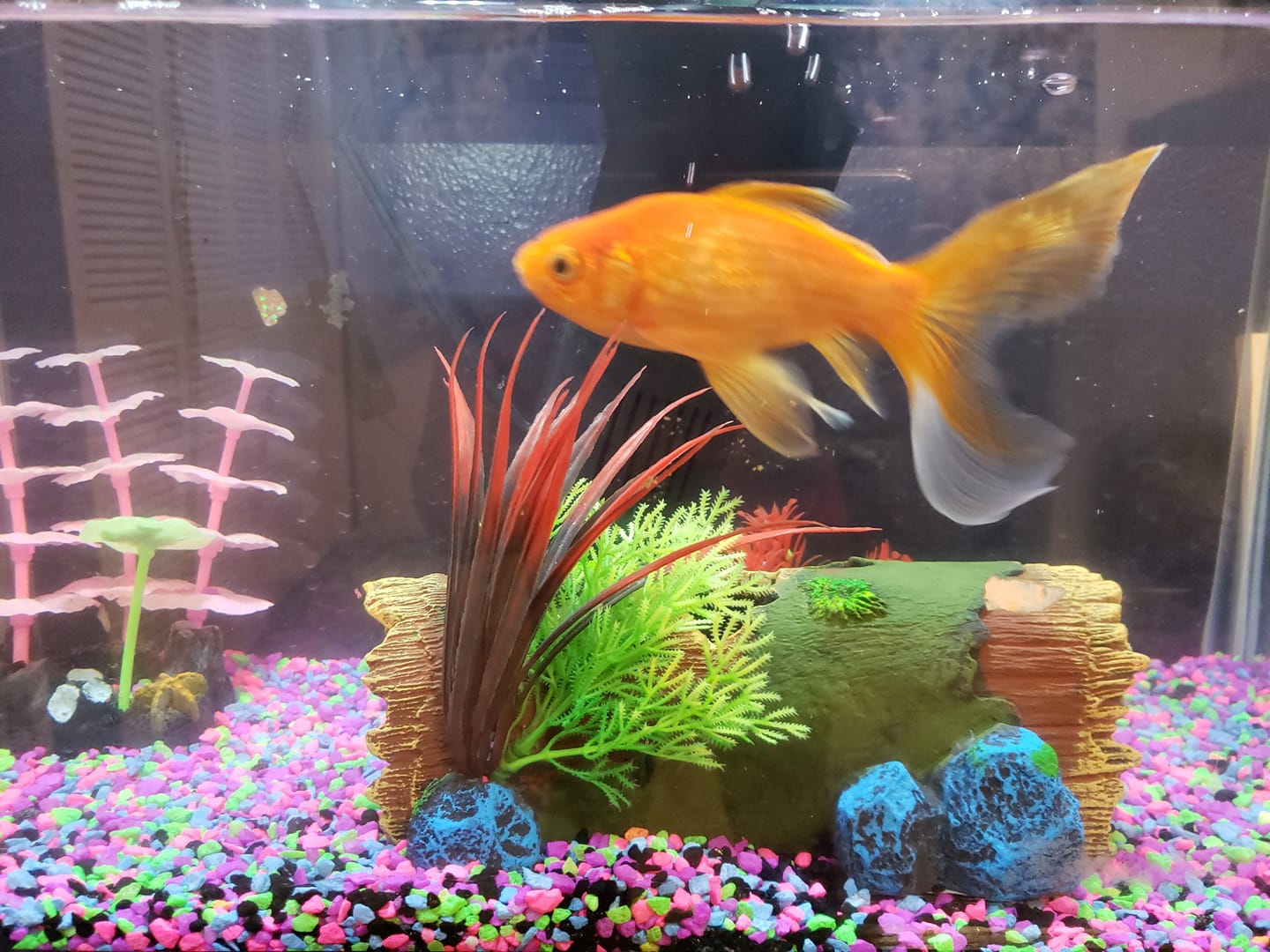 Randy | September 7, 2020