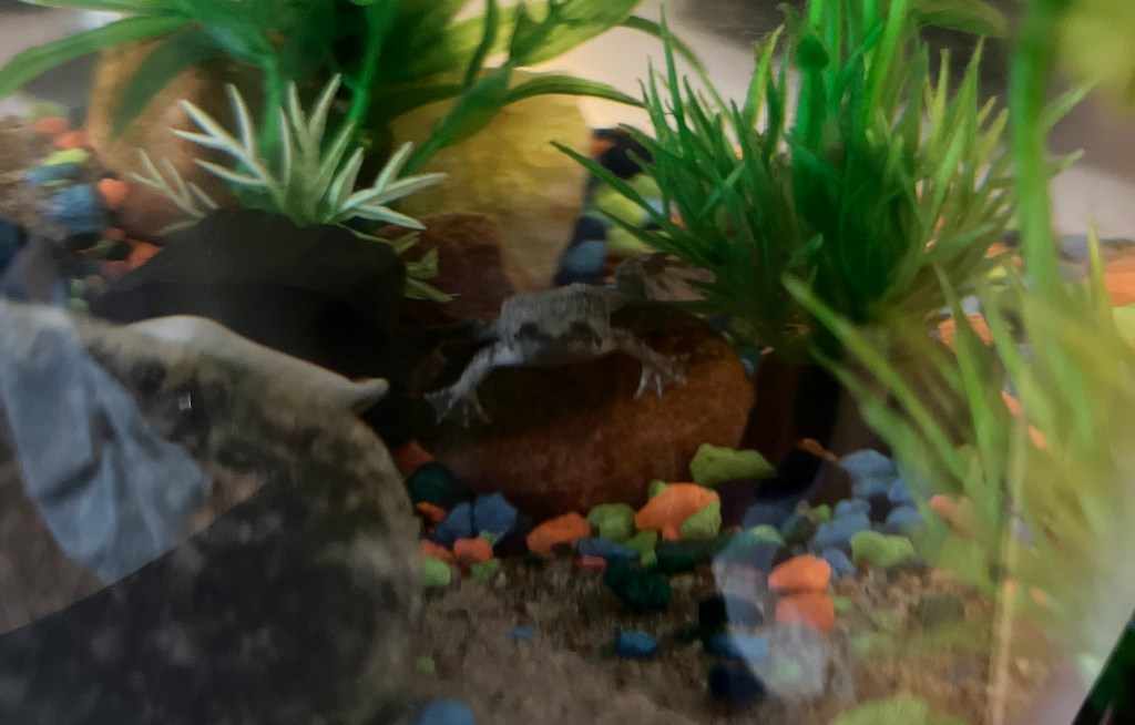 Bob | March 6,&nbsp;2024