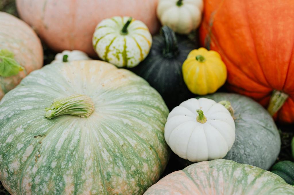 Check It Out | Walhalla’s 21th Annual Giant&nbsp;Pumpkinfest