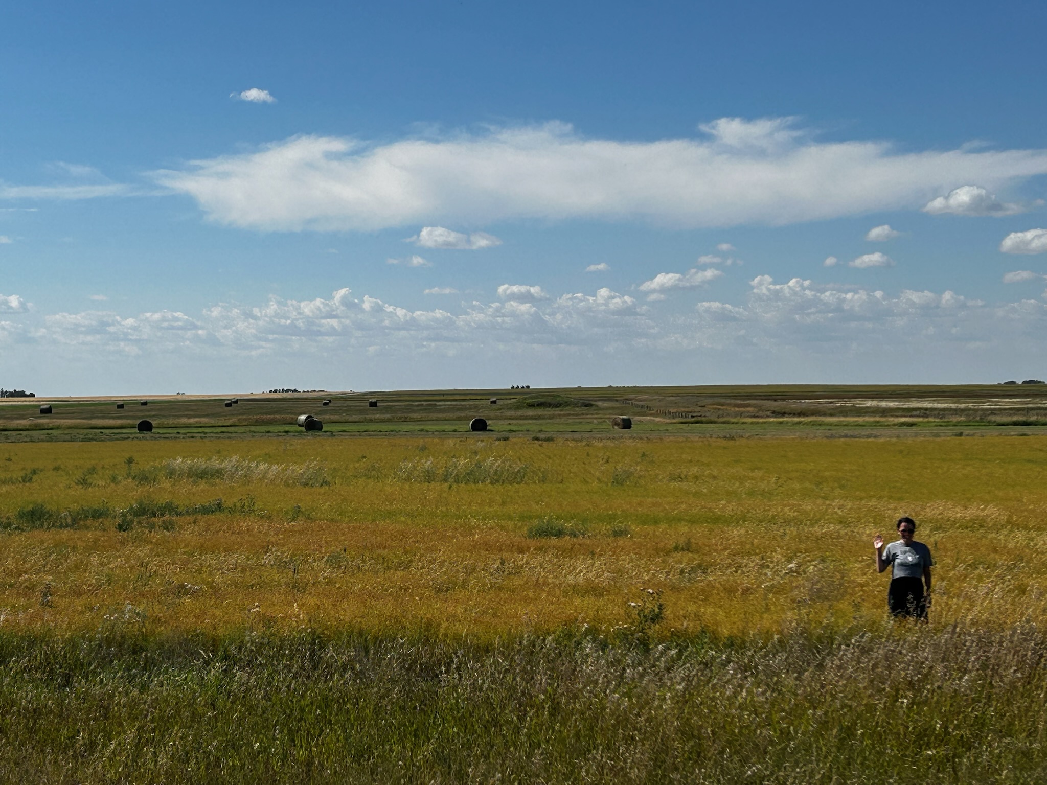 Golly what a day | September 3, 2025