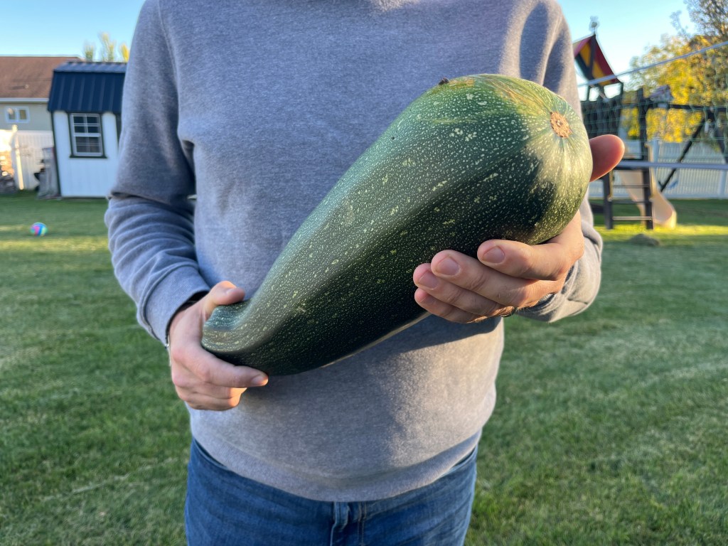 Ding dong | October 8,&nbsp;2025