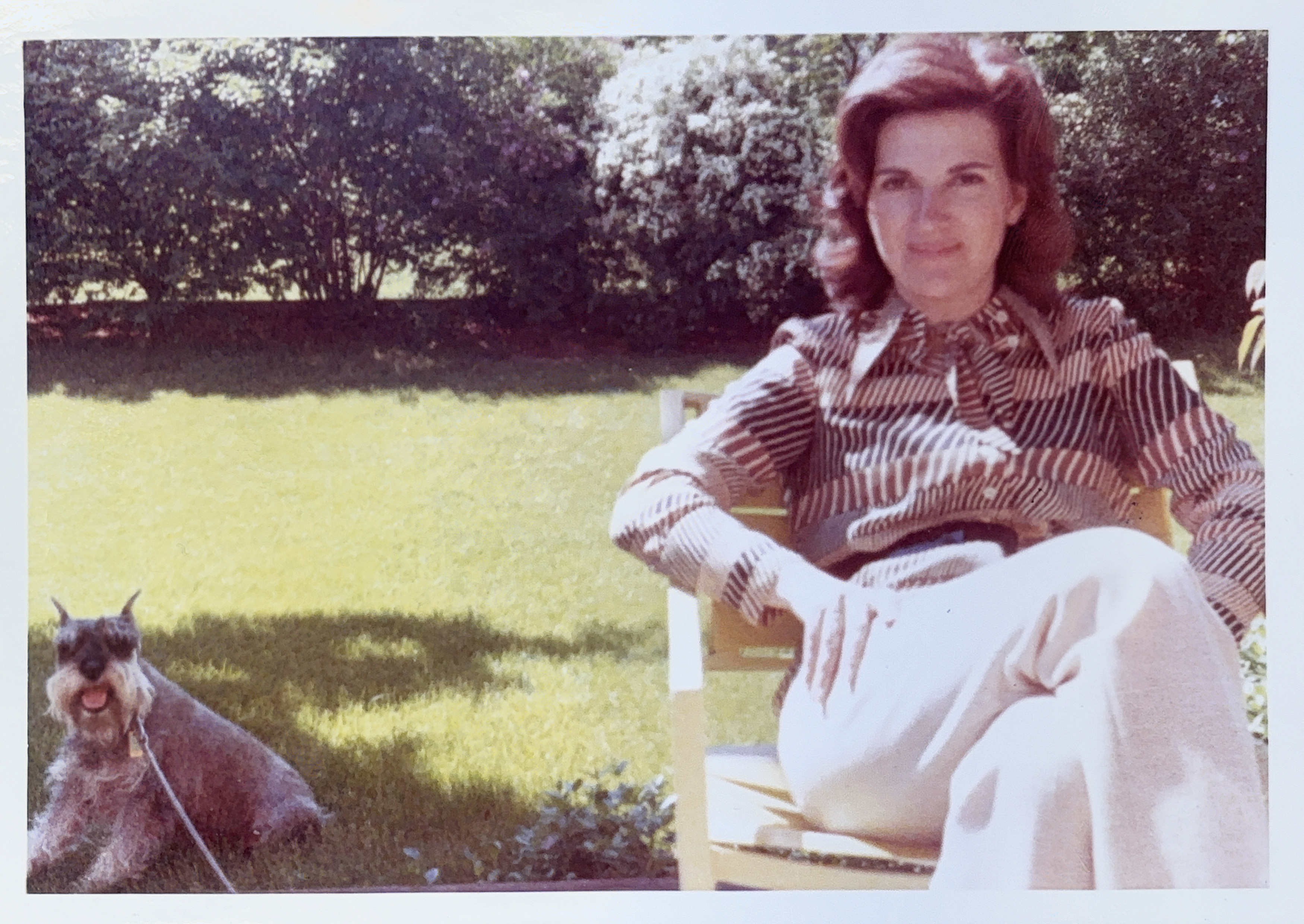 Exploding trees and cross-country skis | January 28, 2026